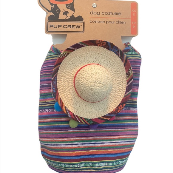 dog sombrero and poncho costume